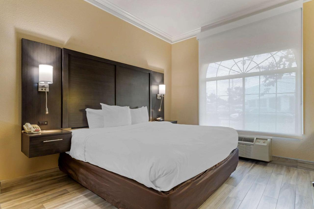 Comfort Suites Kingwood Houston North Humble 59 Ngoại thất bức ảnh